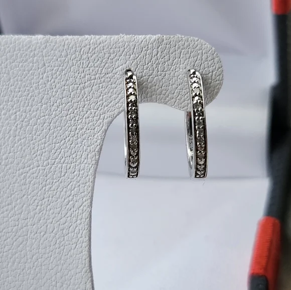Diamond Hoop Earrings - Picture 1 of 5